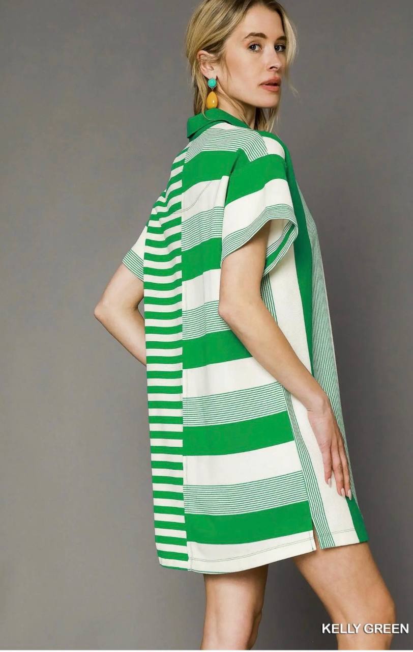 Mixed Stripe Collared Mini Dress